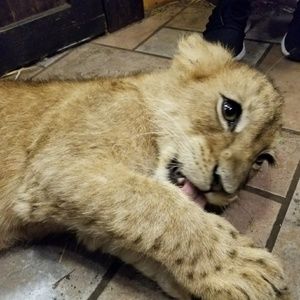 Meet your Posher, Tarah